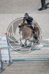 ref. photo 3514570