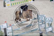 ref. photo 3514588