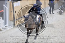 ref. photo 3514602