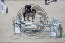 ref. photo 3514604