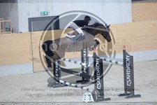 ref. photo 3514631
