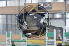 ref. photo 3514637