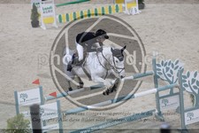 ref. photo 3514647