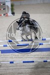 ref. photo 3514652