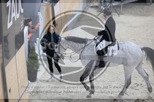 ref. photo 3514694