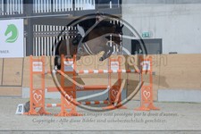 ref. photo 3514702