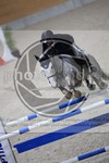 ref. photo 3514717