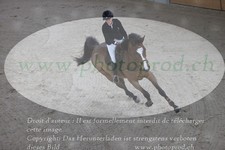 ref. photo 3073106