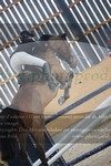 ref. photo 3073120