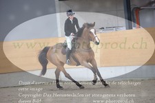 ref. photo 3073123