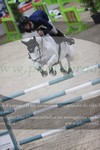 ref. photo 3073308