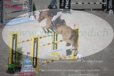 ref. photo 3073312