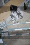 ref. photo 3073315