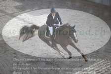 ref. photo 3073597