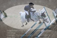 ref. photo 3073881