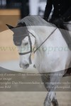 ref. photo 3074002
