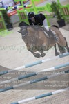 ref. photo 3074028