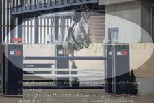 ref. photo 3074082