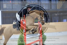 ref. photo 3516168