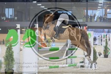ref. photo 3516169