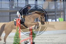 ref. photo 3516173