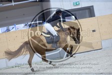 ref. photo 3516178
