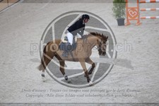 ref. photo 3516182