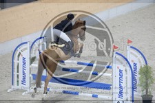 ref. photo 3516184