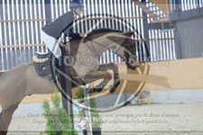 ref. photo 3516195