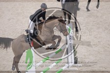 ref. photo 3516198