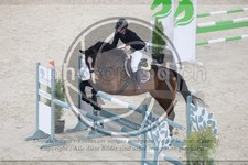 ref. photo 3516199
