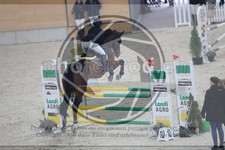 ref. photo 3516202