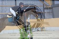 ref. photo 3516207