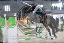 ref. photo 3516210