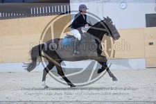 ref. photo 3516212