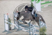ref. photo 3516215