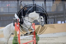 ref. photo 3516221