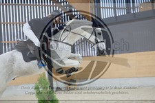 ref. photo 3516225