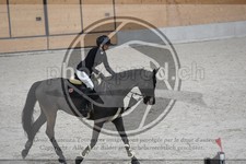 ref. photo 3516232