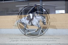 ref. photo 3516239