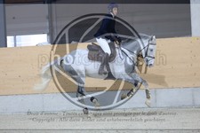 ref. photo 3516240