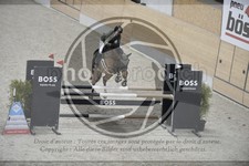 ref. photo 3516259