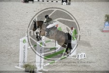 ref. photo 3516261