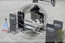ref. photo 3516267