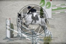 ref. photo 3516284