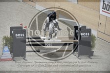 ref. photo 3516286