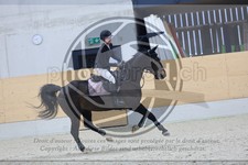 ref. photo 3516296