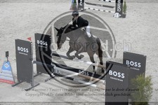 ref. photo 3516303