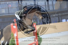 ref. photo 3516309