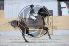 ref. photo 3516313